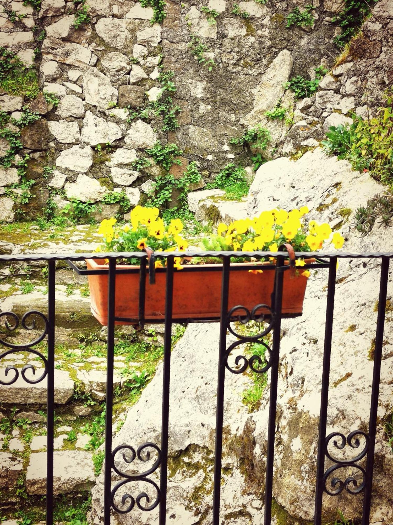 Casa Terrazza Villa Artena Kültér fotó